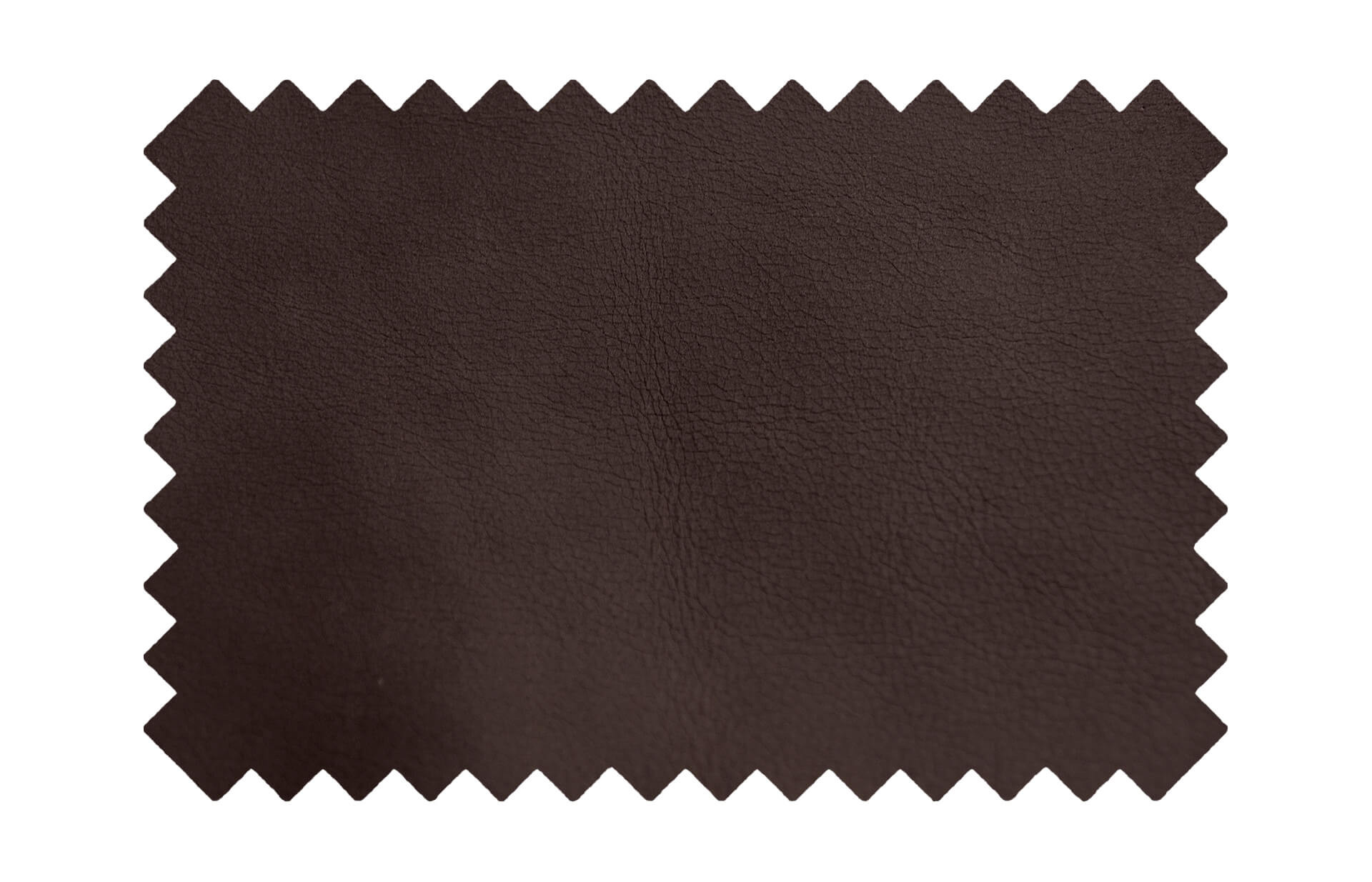 Saddle Leder - Dakar Pine