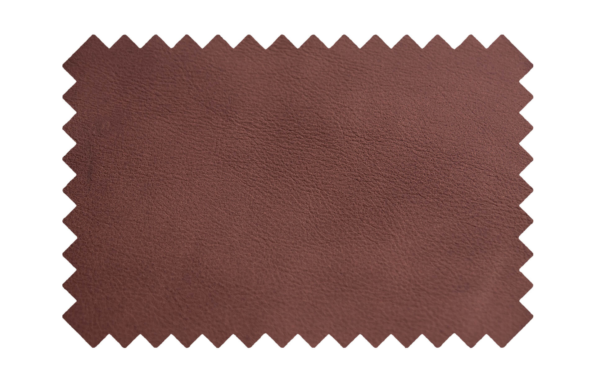 Saddle Leder - Dakar Whisky